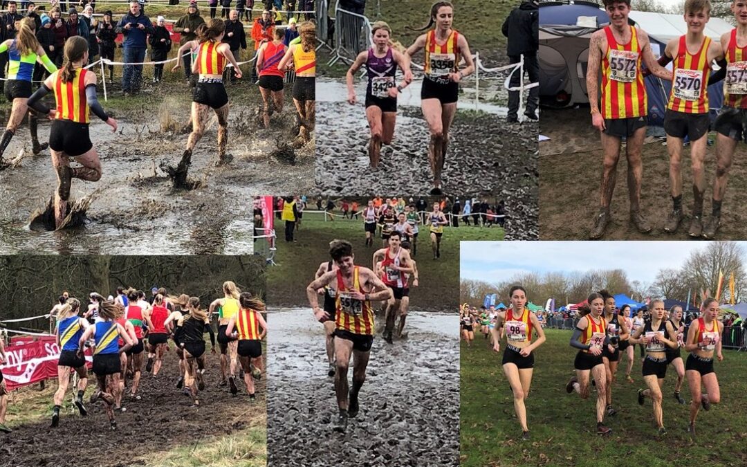 What’s a bit of mud between friends?